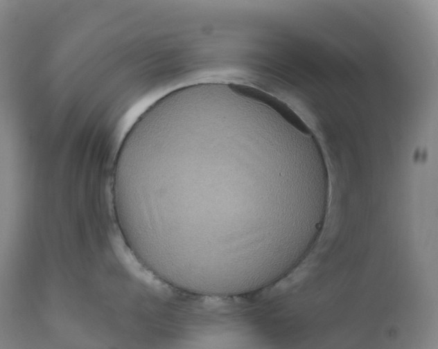 X0000111810960200908131456