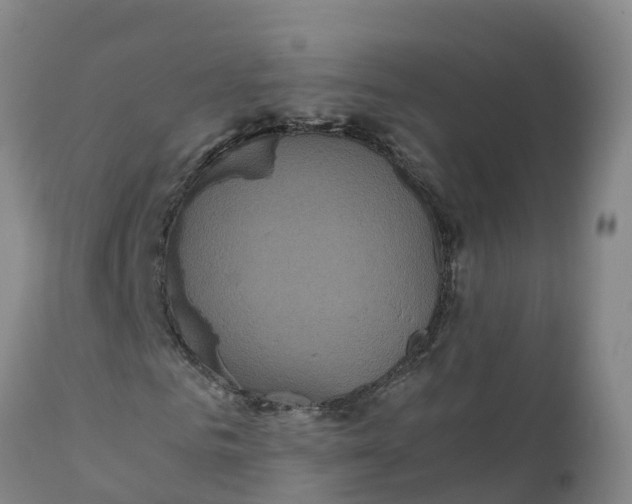 X0000111810961200908131455