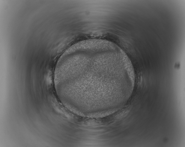 X0000111810962200908131455