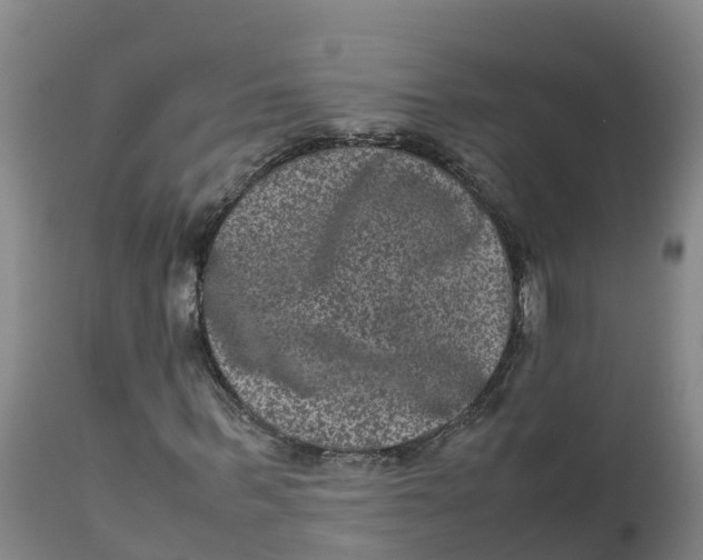 X0000111810963200908131455