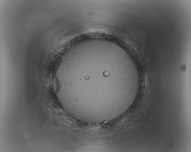 X0000111810965200908131455