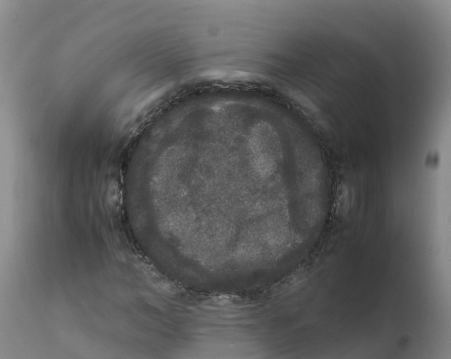X0000111810966200908131455