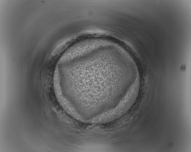 X0000111810967200908131455