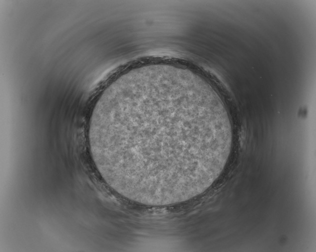 X0000111810968200908131455