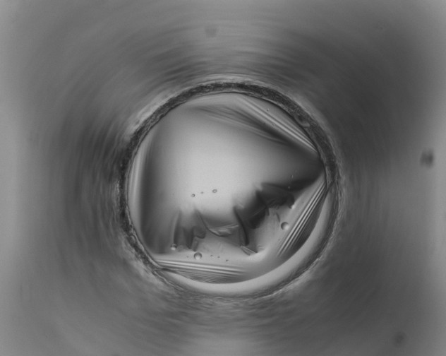 X0000111810969200908131455