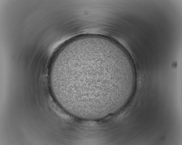 X0000111810971200908131455