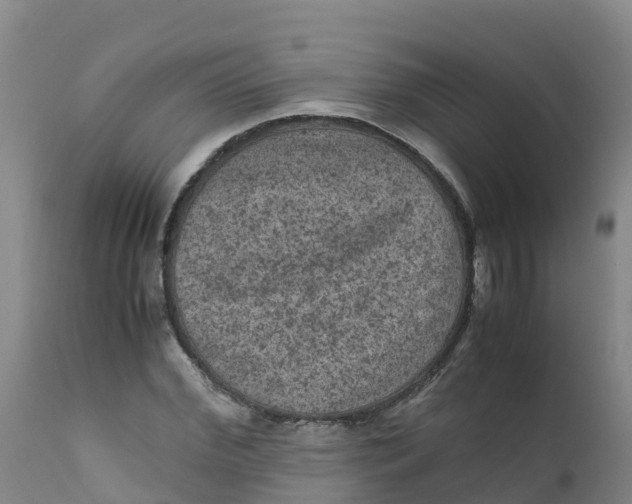 X0000111810972200908131455