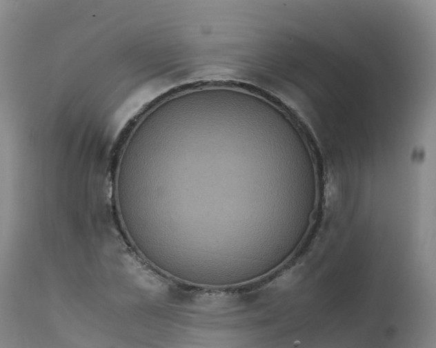 X0000111810973200908131455