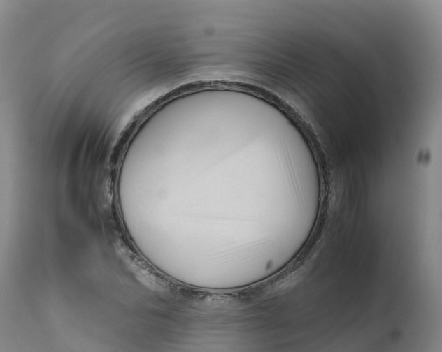 X0000111810974200908131455
