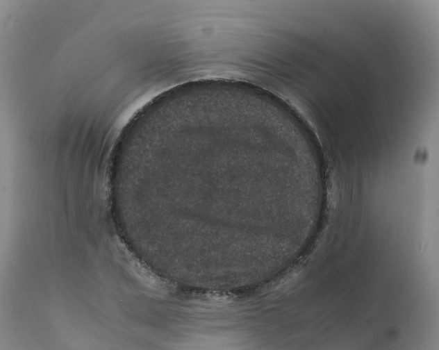 X0000111810975200908131455