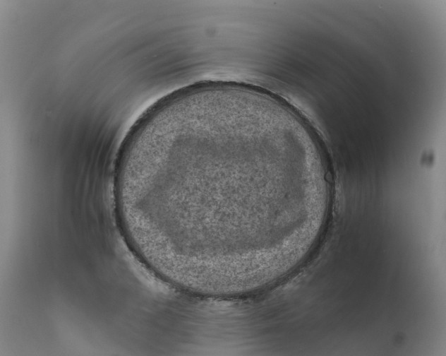 X0000111810976200908131455