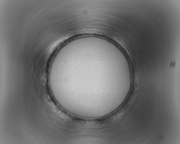 X0000111810979200908131455