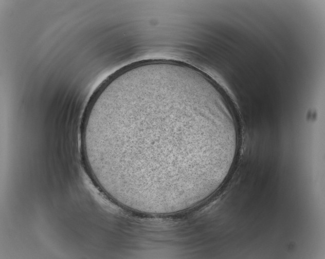 X0000111810980200908131455