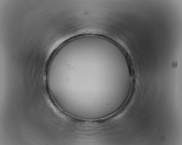 X0000111810981200908131455