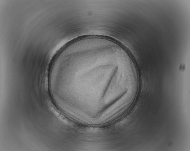 X0000111810982200908131455