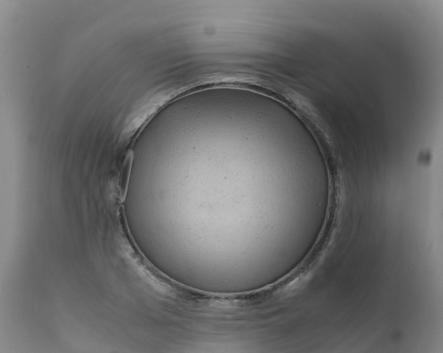 X0000111810985200908131455