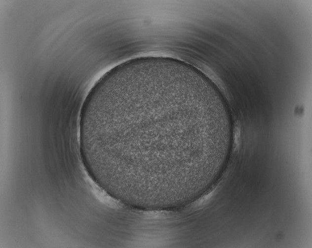 X0000111810988200908131455