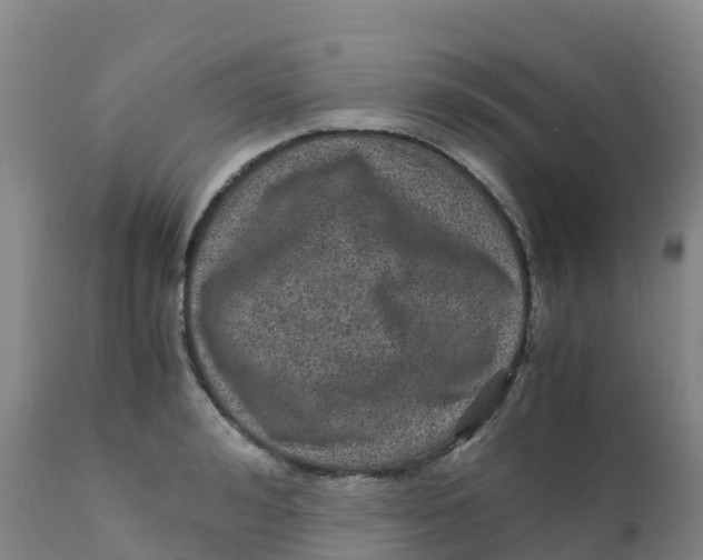X0000111810992200908131455