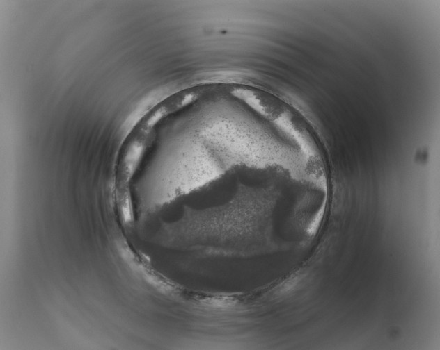 X0000111810994200908131455