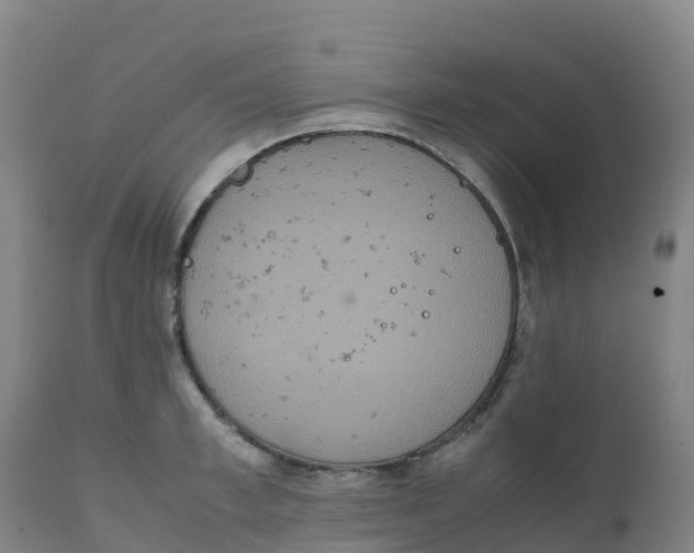 X0000111810997200908131455