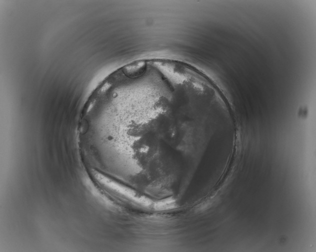 X0000111810998200908131455