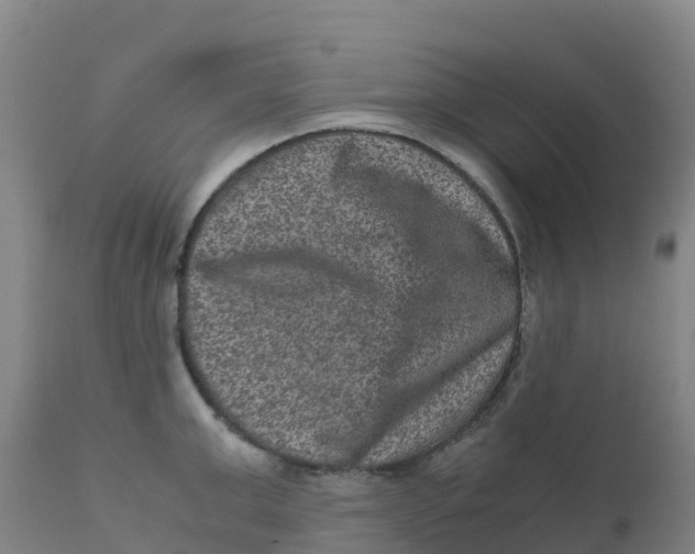 X0000111810999200908131455