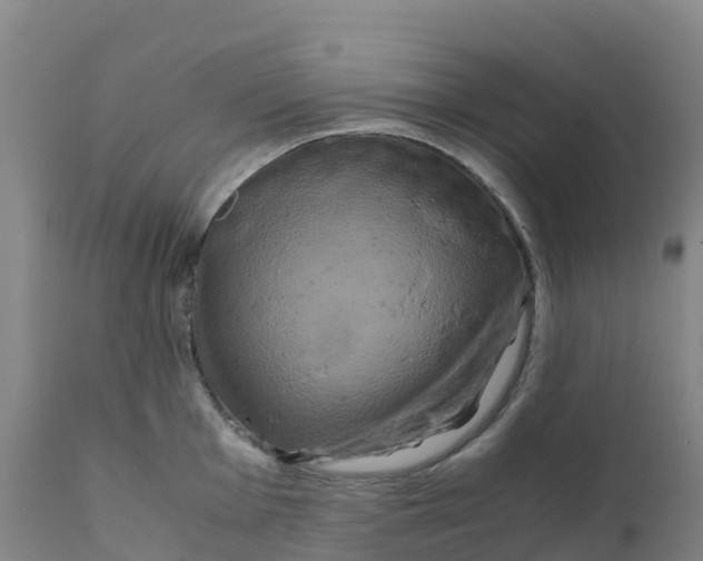 X0000111811001200908131455