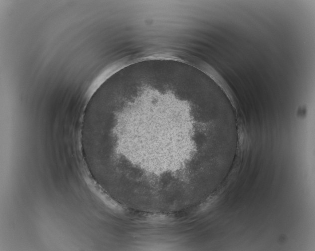 X0000111811002200908131455