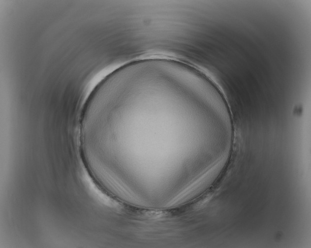 X0000111811003200908131455