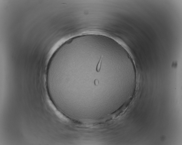 X0000111811005200908131455