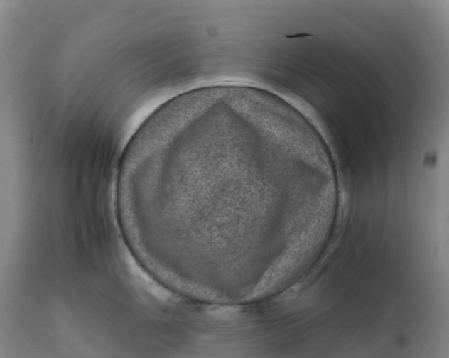 X0000111811006200908131455