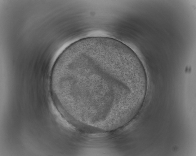 X0000111811008200908131455