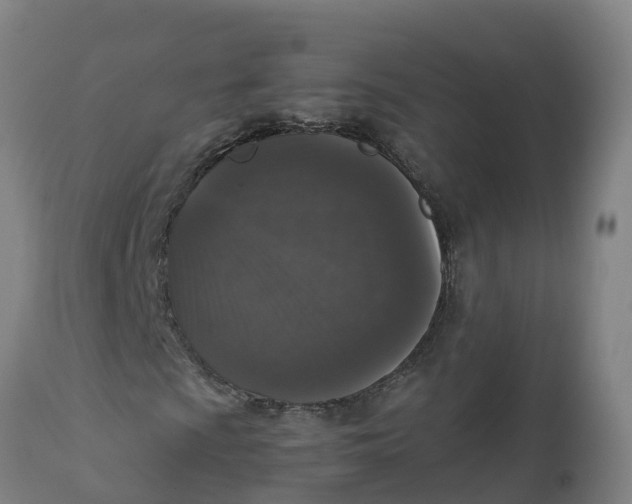 X0000111811009200908131454