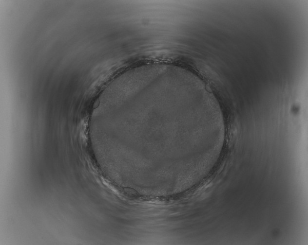 X0000111811010200908131454