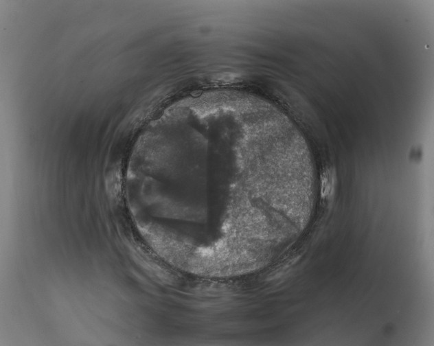 X0000111811011200908131454