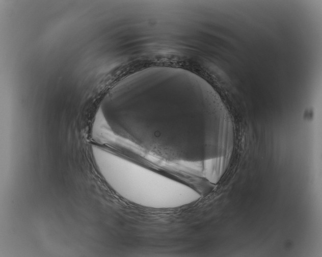 X0000111811013200908131454