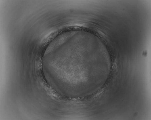 X0000111811014200908131454