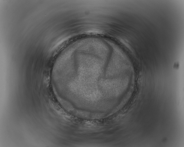 X0000111811015200908131454