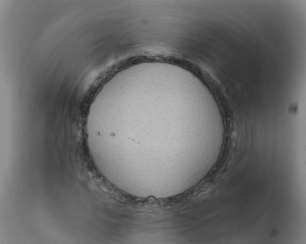 X0000111811016200908131454