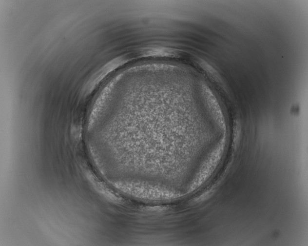 X0000111811017200908131454