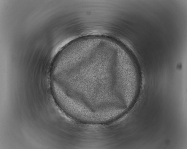 X0000111811018200908131454