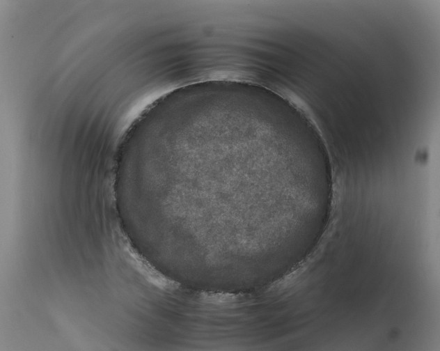 X0000111811019200908131454