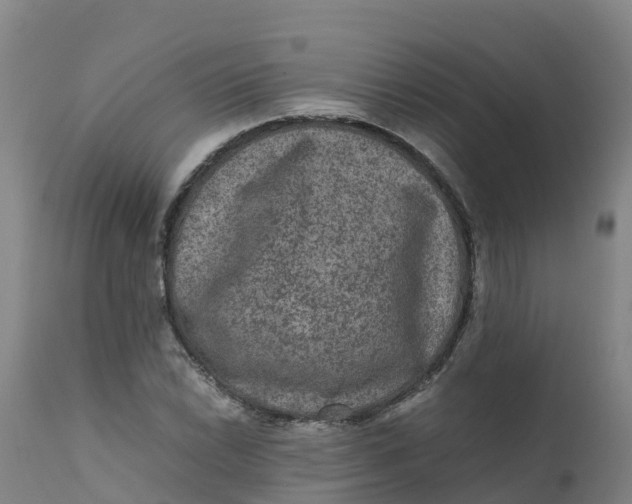 X0000111811022200908131454