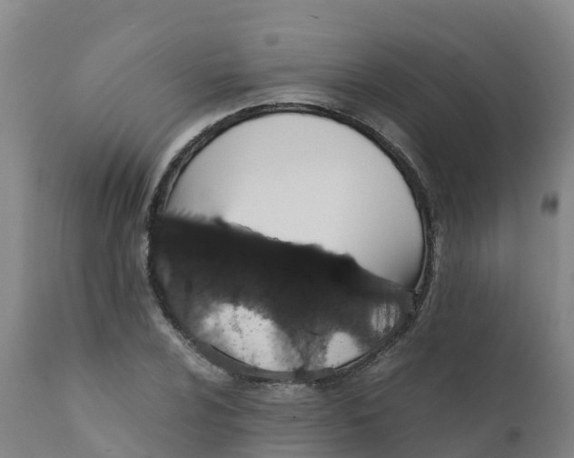 X0000111811024200908131454