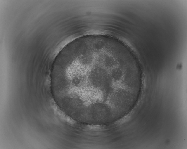 X0000111811025200908131454