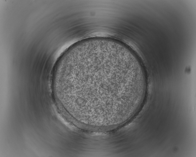 X0000111811026200908131454