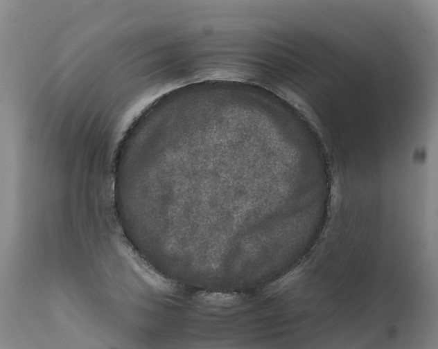 X0000111811027200908131454