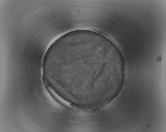 X0000111811028200908131454