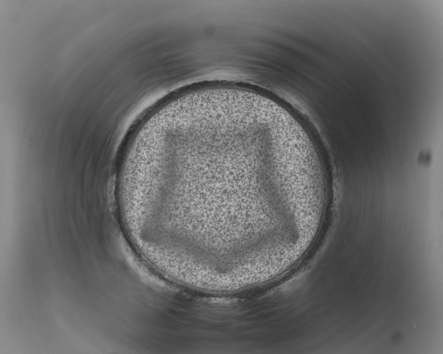 X0000111811029200908131454