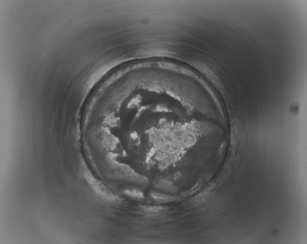X0000111811031200908131454